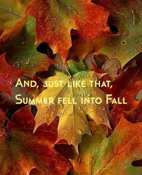summer fell into fall .jpg